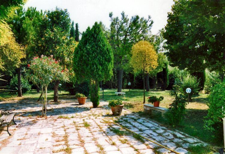 Bed&Breakfast Giardino Agritourist Controguerra Екстериор снимка